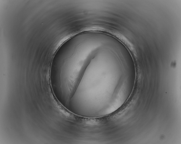 X0000094320945200711091338
