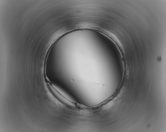 X0000094320946200711091338