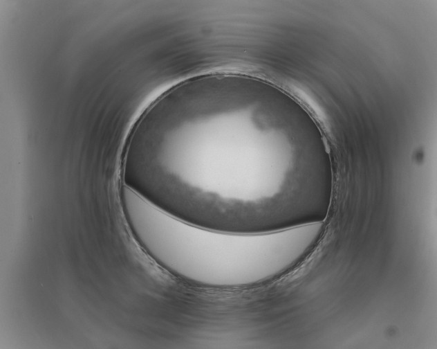 X0000094320948200711091339