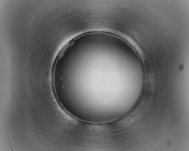 X0000094320951200711091339