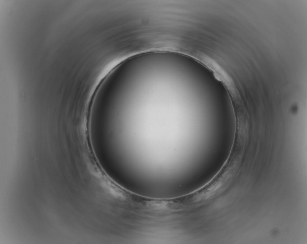 X0000094320956200711091339