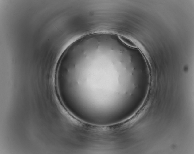 X0000094320957200711091339