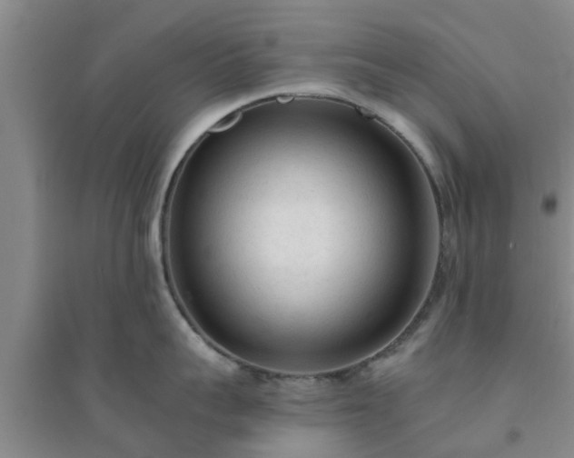 X0000094320959200711091339