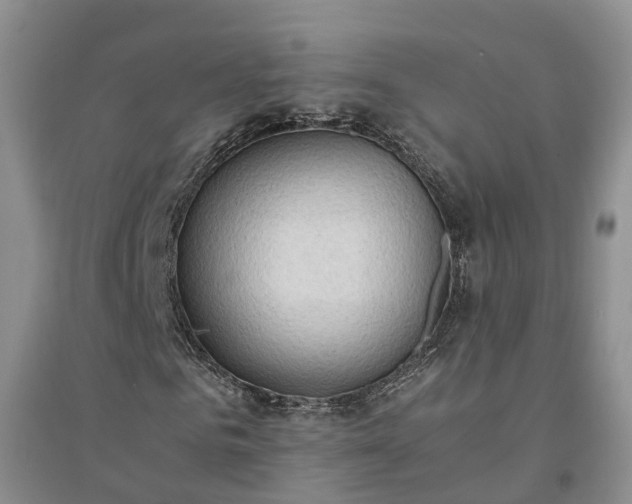 X0000094320961200711091338