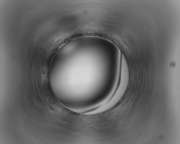 X0000094320964200711091338
