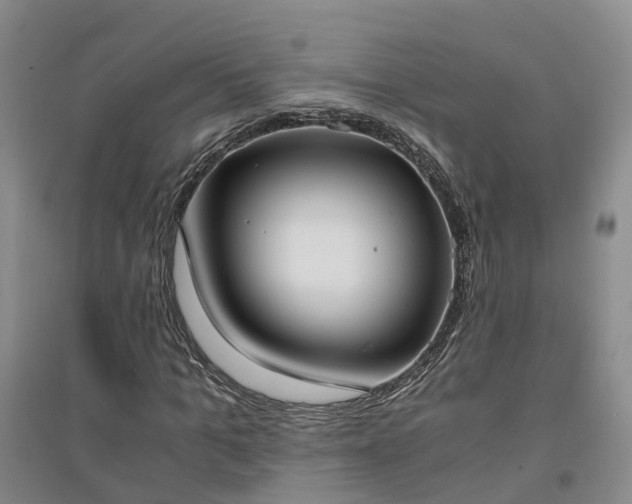 X0000094320965200711091338