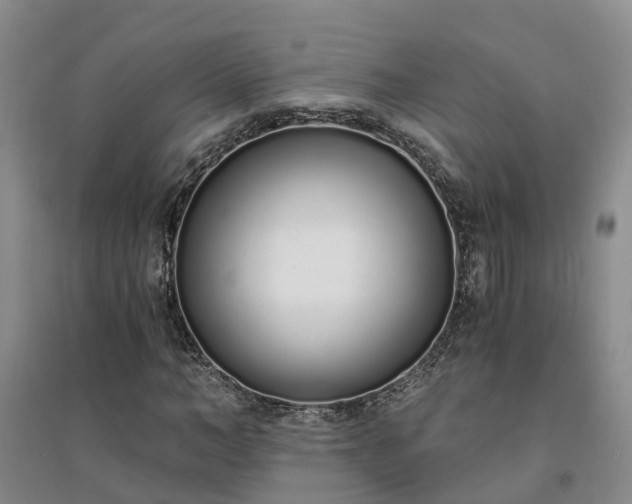 X0000094320966200711091338