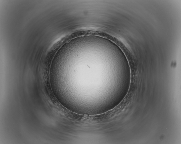 X0000094320967200711091338