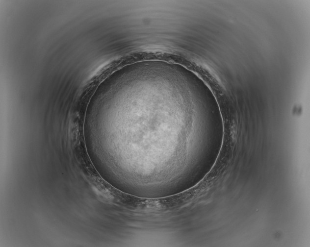 X0000094320968200711091338