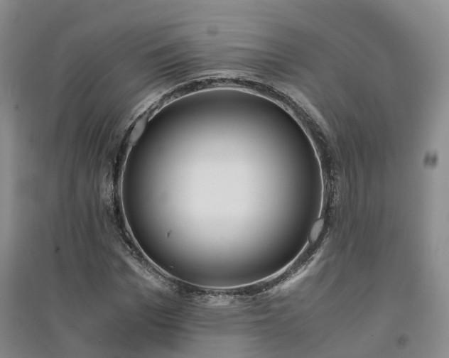 X0000094320969200711091338