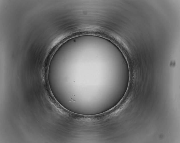 X0000094320970200711091338