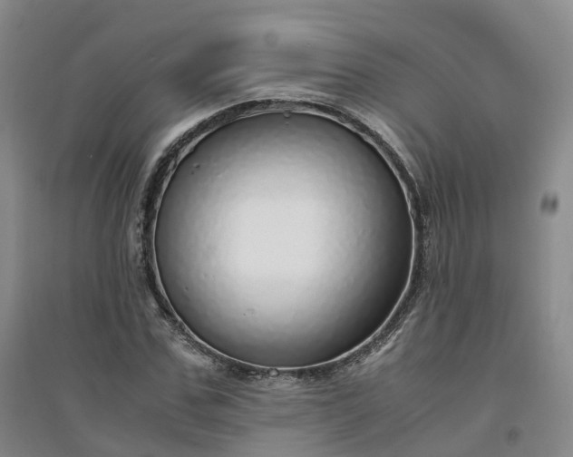 X0000094320971200711091338