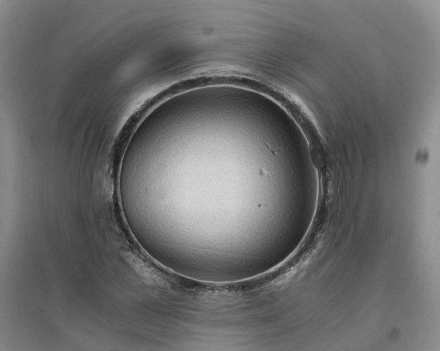 X0000094320973200711091338