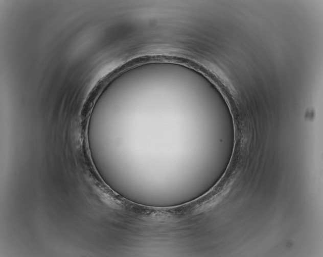X0000094320974200711091338