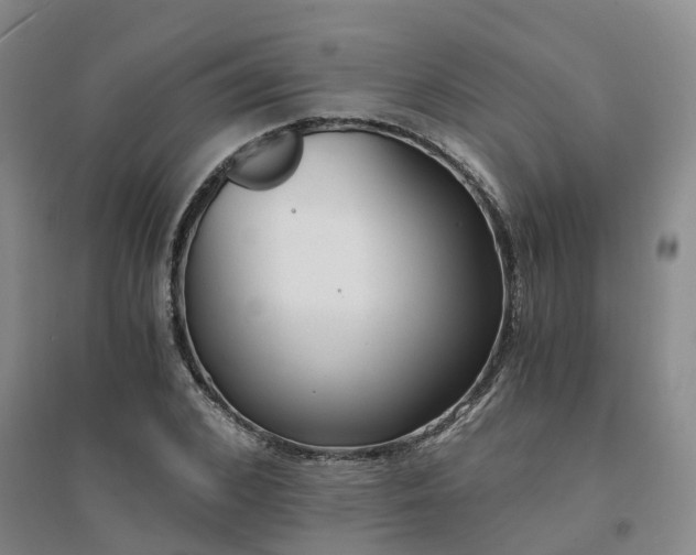 X0000094320976200711091338