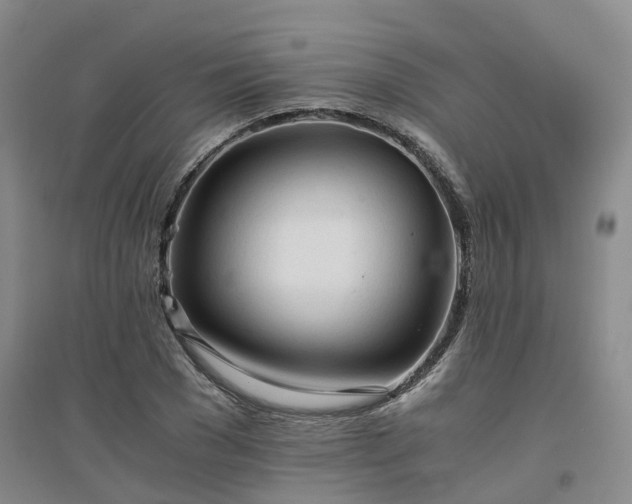 X0000094320977200711091338