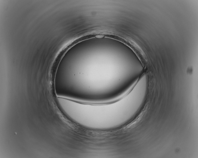 X0000094320981200711091338