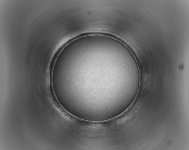 X0000094320982200711091338