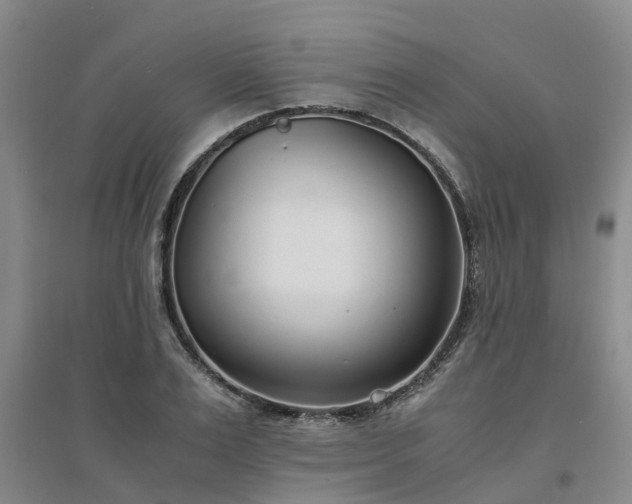 X0000094320983200711091338