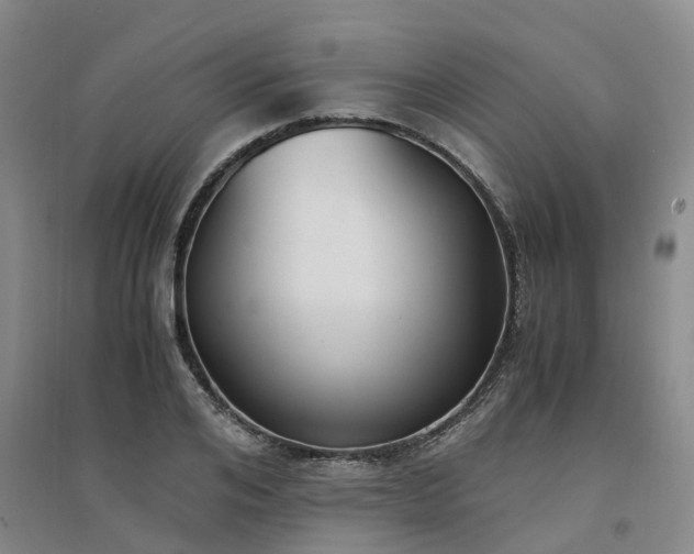 X0000094320984200711091338