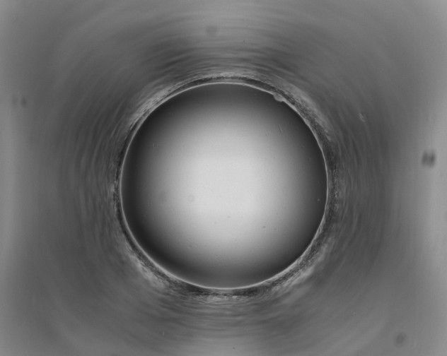 X0000094320985200711091338