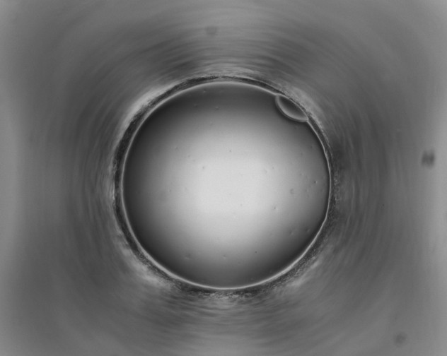 X0000094320987200711091337