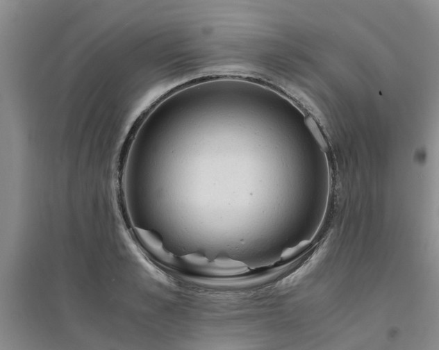 X0000094320989200711091337