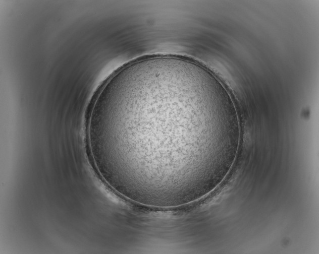 X0000094320990200711091337