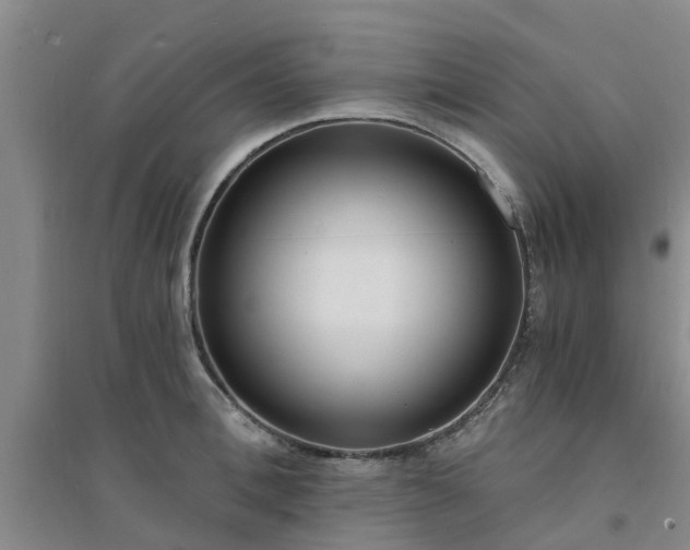 X0000094320996200711091337