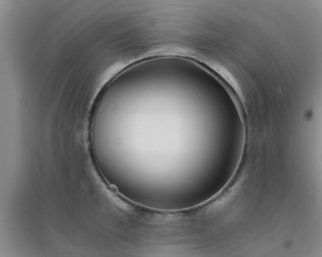X0000094320997200711091337