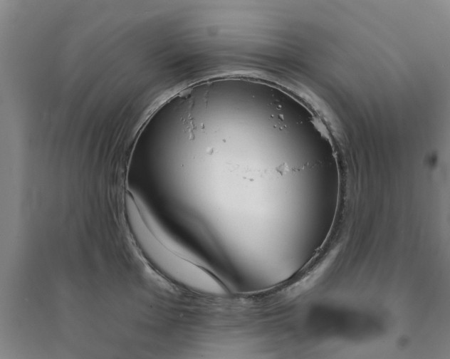 X0000094321001200711091337