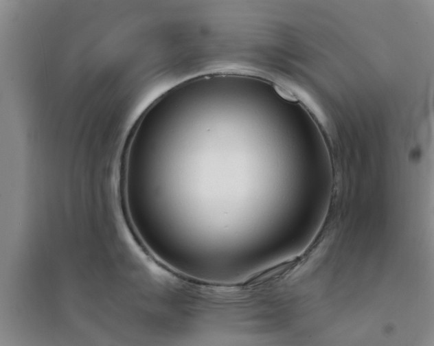 X0000094321007200711091337