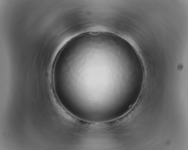 X0000094321008200711091337