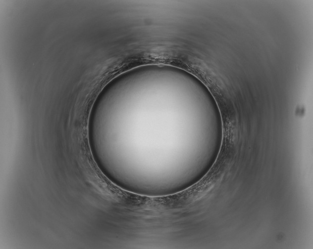 X0000094321009200711091336