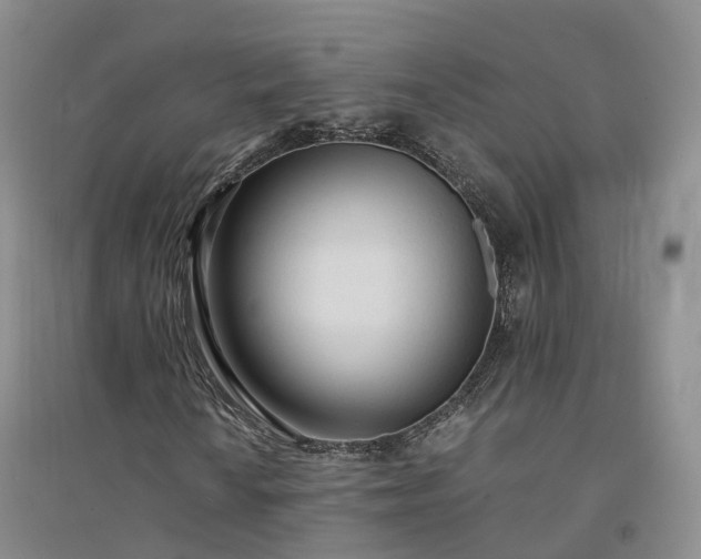 X0000094321010200711091336