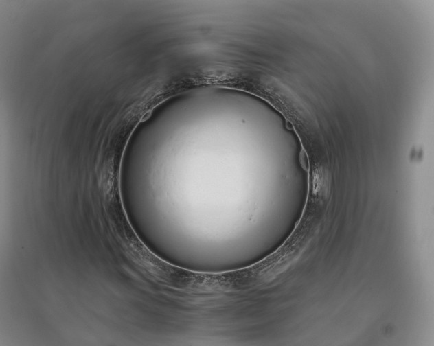 X0000094321011200711091337