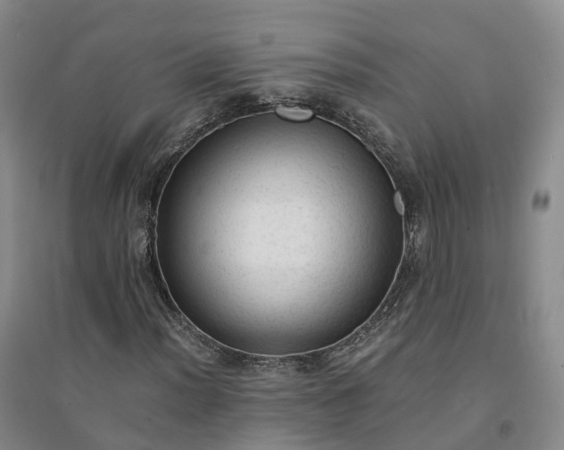 X0000094321012200711091337