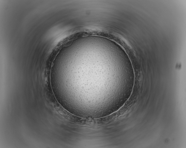 X0000094321016200711091337