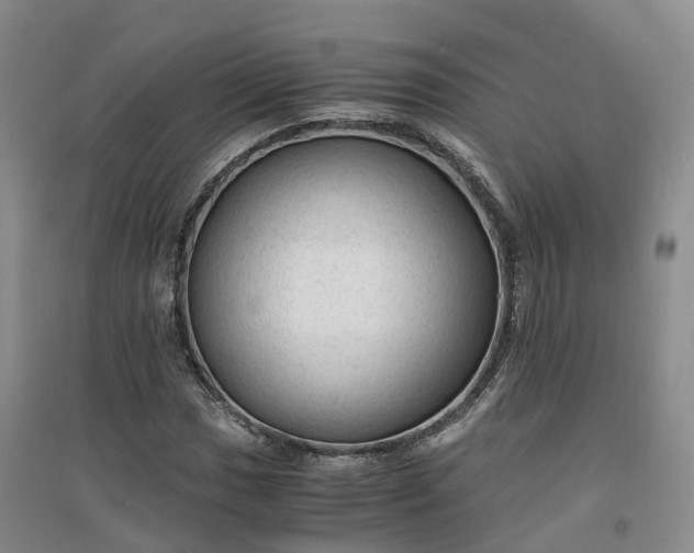 X0000094321017200711091337