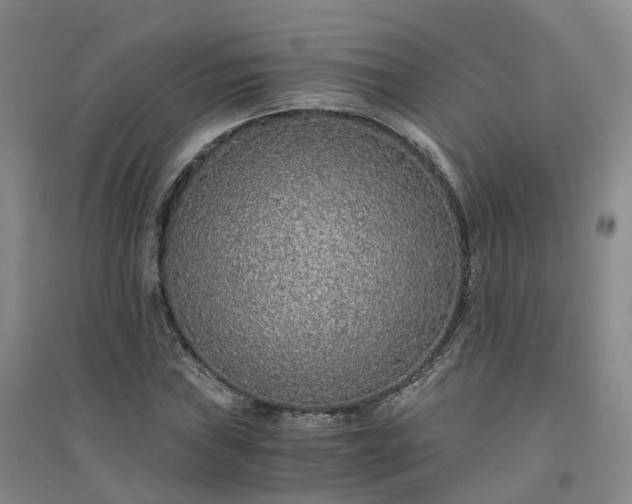 X0000094321019200711091337