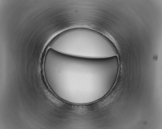 X0000094321020200711091337