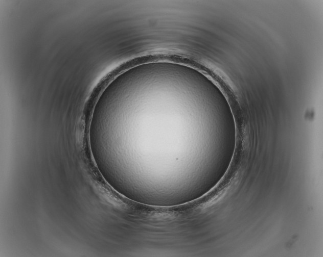 X0000094321021200711091337