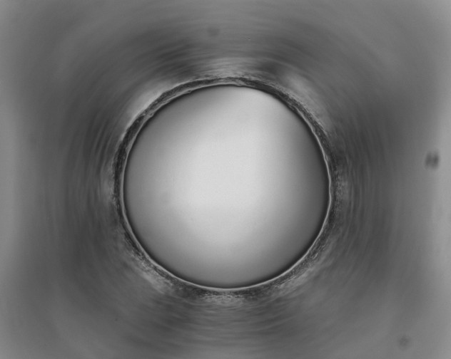X0000094321023200711091337