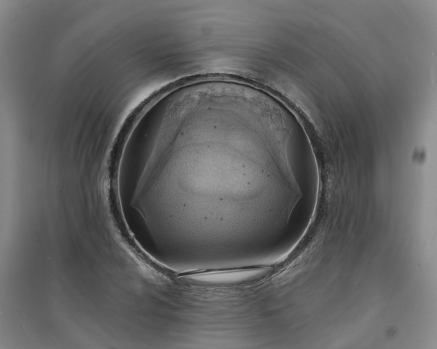 X0000094321024200711091337