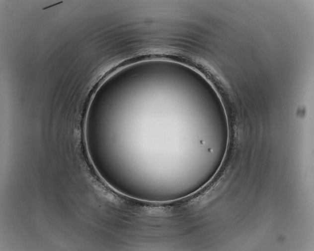 X0000094321025200711091337