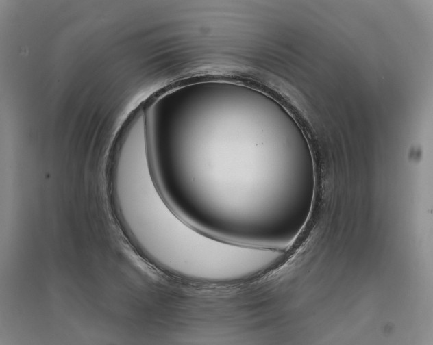 X0000094321026200711091337