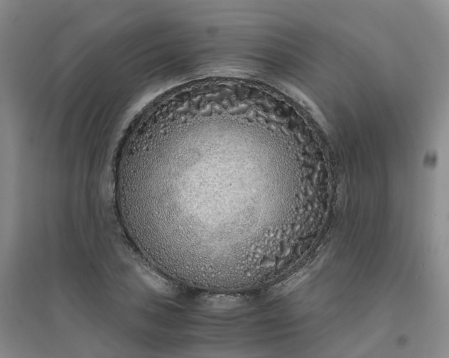 X0000094321027200711091337