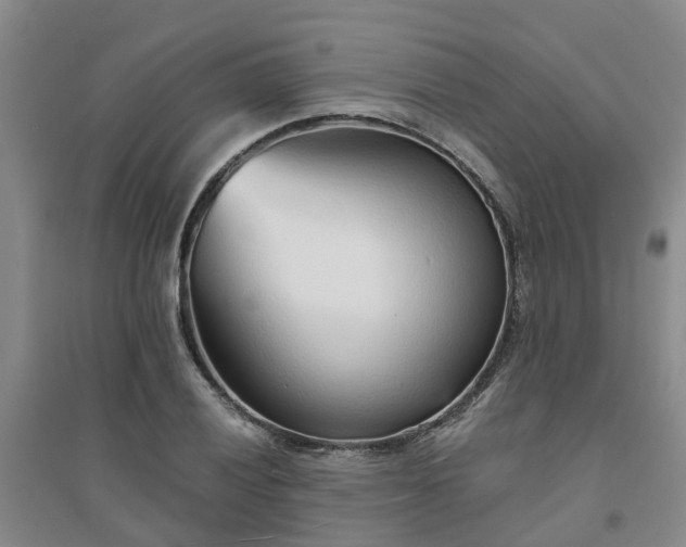 X0000094321028200711091337