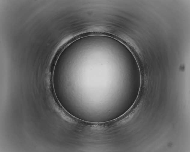 X0000094321029200711091337