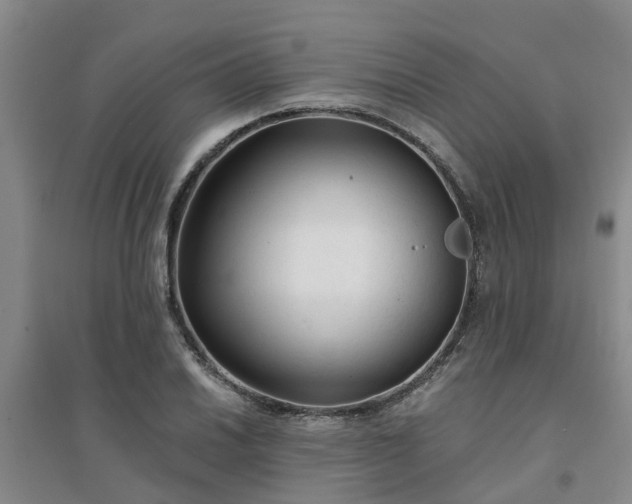 X0000094321030200711091337